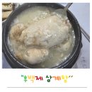 후백제 | 목포 현지인 삼계탕 맛집 후백제 삼계탕 내돈내산 솔직후기