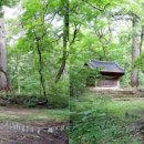 성황림마을 이미지