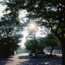 리틀프로방스 이미지