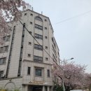 스파단식원 이미지