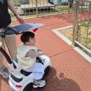 토성 | 경남 진주 아이랑 가볼만한 곳 진양호동물원 그리고...레일까지 저렴한 비용에 즐길거리는 많았던 방문후기