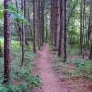 벨리펜션 이미지