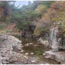 꽃피는산골민박 이미지