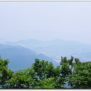 다산약초