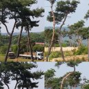 금마3농장 이미지