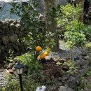 포레스트 랩(FOREST LAB) | 포레스트랩(forest_lab)