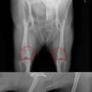 백두동물병원 이미지