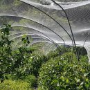 안골농장 이미지