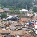 숲속에 우산정원 이미지