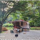 자연속캠핑장 이미지