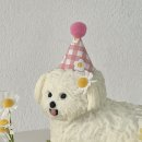 멈무푸드 이미지