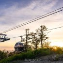 정선 가리왕산 케이블카 이미지