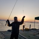 수진좌대 이미지