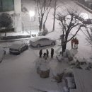 혼술천국 이미지