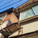 해안당 | 돗토리 당일치기 여행 부모님 모시고 우라도메 해안 택시투어 후기