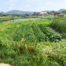 세광 부동산중개사무소 이미지