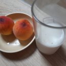 요거프레쉬 이미지