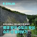 필수 관광지 추천, 류큐 왕국 최대 목조 건축물 '슈리 성' 가는 방법 주차요금 운영시간 입장료 방문후기