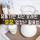 유통기간 지난 오래된 "우유"엄청난 활용법 이미지