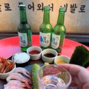 네발로갈때까지 이미지