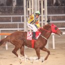 세종조이1 이미지