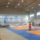 유사사 유도관 이미지