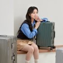 31140-6-76-28 | 스탁사인 톨디 76cm 캐리어 튼튼하고 가벼운 금고형 위탁수화물로 안전한 여행준비