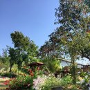 다솔마루 이미지