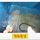 현화환경 이미지