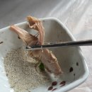 푸른가든민박 | 제천 애견동반 계곡 백숙 맛집 풍정가든 분위기최고!