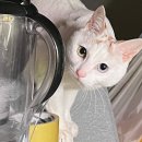 영도동물병원 이미지