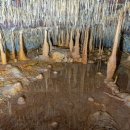 거문오름 용암동굴계 상류동굴군(웃산전굴 북오름굴 대림굴) 이미지