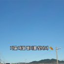 1동별미식당 네이버블로그