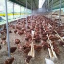 태은농장 이미지