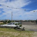 스누피 애견 이미지