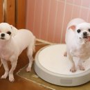 신원미용실 이미지