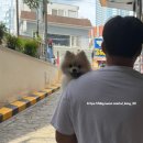 부산곱창집돼지국밥 이미지