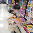 똥강아지이발소 네이버블로그