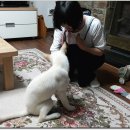 동이네집 이미지