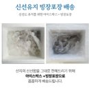 지수테이블 지수산 활쭈꾸미 내돈내산 후기 제철이라 주문했는데 냉동이랑 차원이 다르다