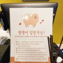 오토케어 | 구미문성맛집 :: 아오라 애견동반식당 카페