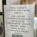 이노센트INNOSCENT