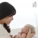 봄날사진관 이미지