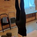 요가라이프 | 내 몸이 기억하는 변화, 활력 충전하는 부천요가 라이프 시작했어요!