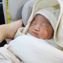 도로시 산후조리원 이미지