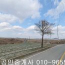 (판매완료)무안군 운남면 성내리 잡종리3739제곱,매3천9백,전남토지매매,무안토지매매 이미지