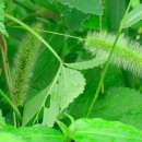 오늘은 힐링 이미지