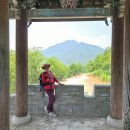 속리마을회관 이미지