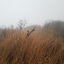 백담주차장 이미지