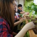 금마중학교 이미지